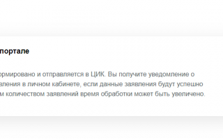 Голосование по Конституции через Госуслуги 1 июля 2020