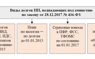 Амнистия страховых взносов ИП: как закрыть расчеты с ПФР