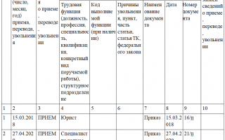 СЗВ-ТД в 2020 году: вопросы-ответы