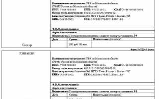 Выясняем как оплатить госпошлину за паспорт через Госуслуги