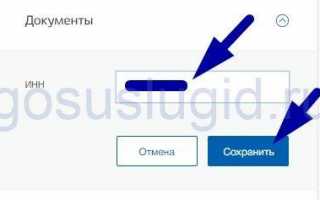 Почему ИНН не найден в базе фнс на Госуслугах и что делать