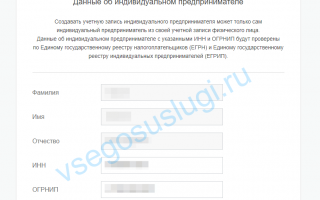 Как зарегистрироваться юридическому лицу на портале Госуслуги