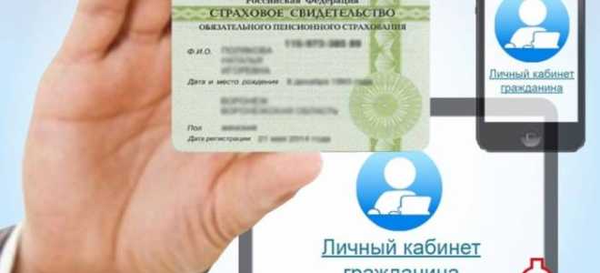 Узнать номер СНИЛС по паспорту онлайн