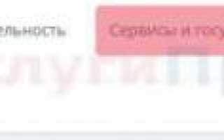 Заказать ИНН: онлайн через интернет и Госуслуги в 2020 году