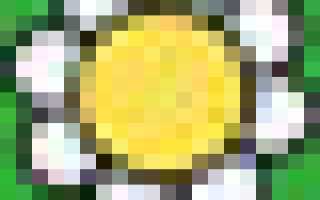 Пенсионный фонд в районе Раменки