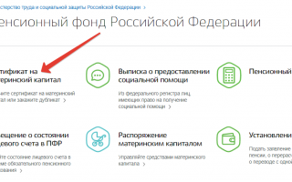 Как оформить сертификат на материнский капитал через «Госуслуги»