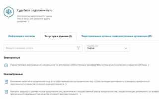 Что значит «судебная задолженность назначена на СНИЛС» на портале Госуслуг?
