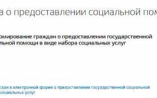 Как посмотреть остаток материнского капитала через Госуслуги: пошаговая инструкция