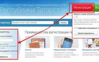 Госуслуги Набережные Челны личный кабинет