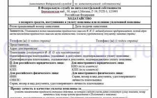 Что делать если оплатил госпошлину через госуслуги, но не воспользовался: Порядок возврата