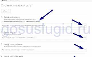 Как получить справку по форме 7 и 9 через Госуслуги