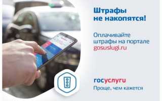 Какие штрафы можно оплатить со скидкой 50%: описание, таблица