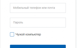 Личный кабинет Госуслуги Петропавловск-Камчатский – официальный сайт, вход, регистрация