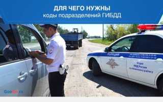 Что нужно писать в Госуслугах в данных водительского удостоверения в графе «Кем выдано»