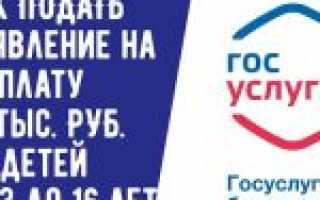 Госуслуги Электронный дневник: Что значит промежуточные результаты от ведомства на портале Госуслуг