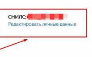 Госуслуги Личный кабинет на ПГУ.Мос.ру