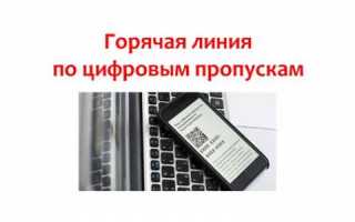 Служба поддержки