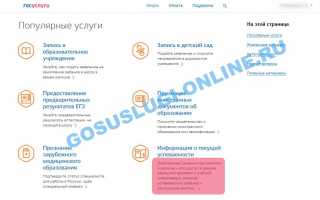 Электронный дневник школьника через Госуслуги