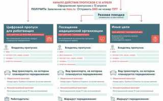 Как оформить пропуск иностранному гражданину?