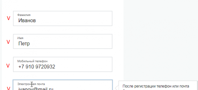 Личный кабинет Госуслуги Мытищи – официальный сайт, вход, регистрация
