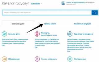 Получение выписки ЕГРН (ЕГРП) через портал Госуслуги