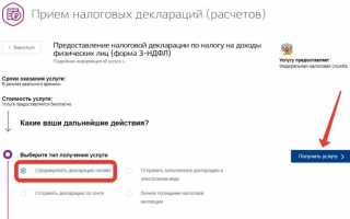 Как отправить налоговую декларацию через Госуслуги: инструкция по заполнению и работе с сайтом