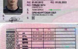 Госуслуги как проверить подлинность водительского удостоверения