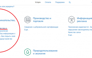 Как сдать налоговую декларацию через интернет для ИП — где это сделать