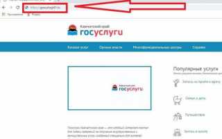 Госуслуги РФ — Камчатский край вход в личный кабинет