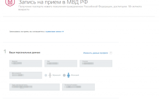 Загранпаспорт через Госуслуги