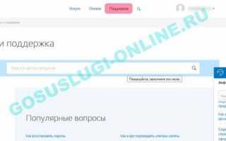 Паспорт не прошел проверку на Госуслугах: причины и решение проблемы