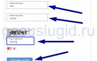 На госуслугах не прошел проверку паспорт: что делать?