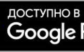Госуслуги — штрафы ГИБДД узнать задолженность по гос номеру