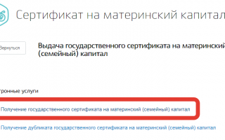 Как оформить сертификат на материнский капитал через МФЦ или сайт Госуслуги