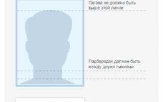Правила загрузки фото для портала Госуслуги