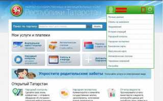 Госуслуги рт личный кабинет вход через ЕСИА на телефон