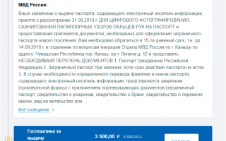 Как оплатить госпошлину за загранпаспорт через портал «Госуслуги»
