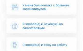 Как оформить электронный пропуск через Госуслуги