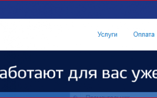 Как вернуть 13 процентов налога за обучение через Госуслуги