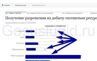 Как получить путевку на охоту через Госуслуги: порядок и сроки получения, советы