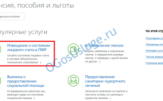 Как узнать сумму своих пенсионных накоплений и где они находятся