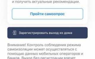 Как оформить цифровой пропуск: пропускной режим в Москве и Московской области с 15 апреля
