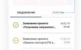 ? Скачать Госуслуги на телефон и компьютер