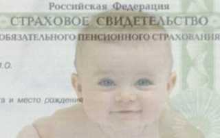 Как получить СНИЛС в Рязани в 2020: пошаговая инструкция, документы, адреса