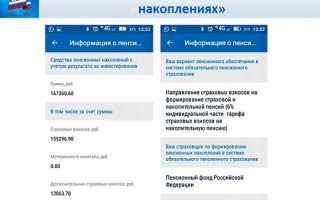 Мобильное приложение ПФР: инструкция в картинках