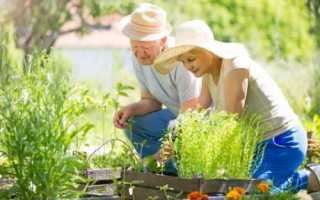 Официальный сайт отделения ПФР в Курганской области