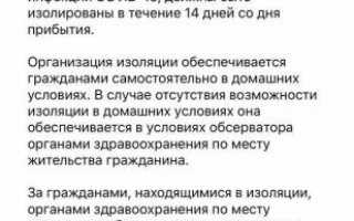 Мы получаем пропуска — для чего, для кого: что такое цифровой пропуск