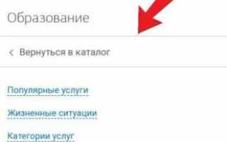 Как зайти в электронный дневник через сайт Госуслуги