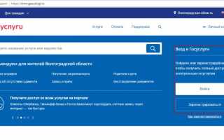 Сетевой город Камышин — войти в электронный журнал и дневник — СГО Волганет