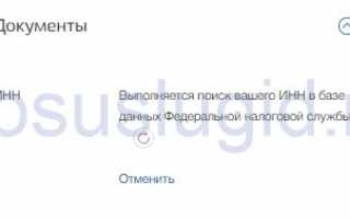 Почему не найден ИНН на Госуслугах